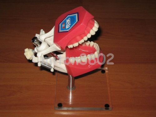 DENTAL  MOUNT POLE TYPODONT DENTOFORM REMOVABLE TEETH TOOTH  MODEL TEACH STUDY