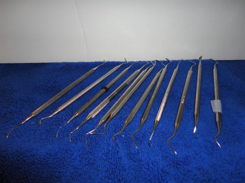 DENTAL DOUBLE ENDED STAINLESS STEEL #31 EXCAVATORS  (12)