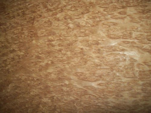 eucalyptus burl veneer 9 @ 13.5 x 21.5 [2713