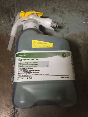 DIVERSEY 3145408 GP Forward GP Cleaner ~ 5 L ~ Citrus