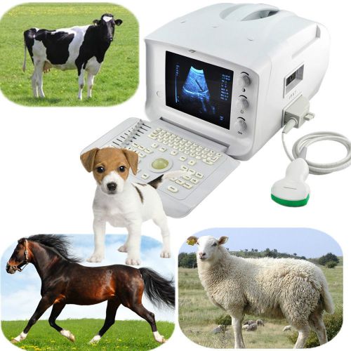 FDA Veterianry VET Ultrasound Scanner machine + Convex Probe high quality +3D US