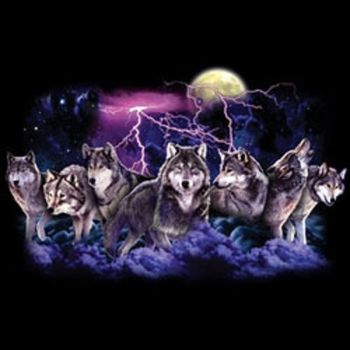 Wolf Pack Hunt HEAT PRESS TRANSFER for T Shirt Tote Sweatshirt Quilt Fabric 220c