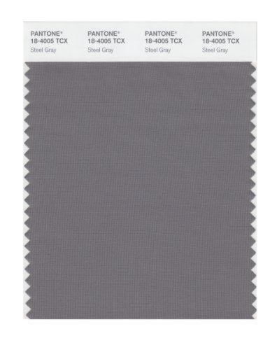 Pantone smart 18-4005x color swatch card, steel gray for sale