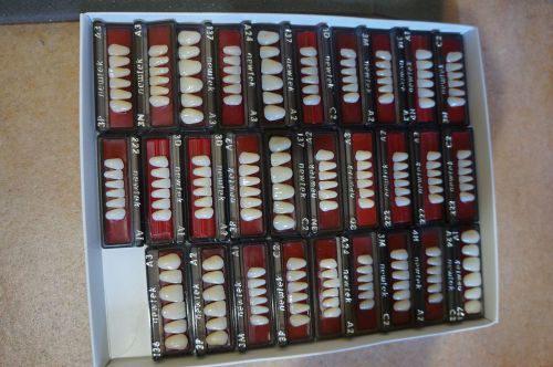 Newtek Acrylic Resin Teeth and Zdent teeth