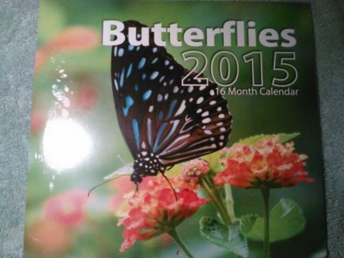 New Butterflies 16 Month Calendar 2015 Office work job home 11&#034;X 12&#034;