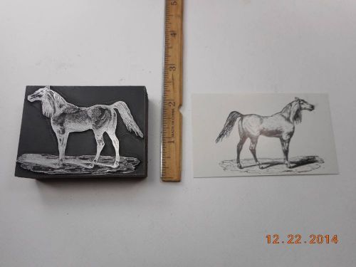 Letterpress Printing Printers Block, Noble Horse w Long Mane