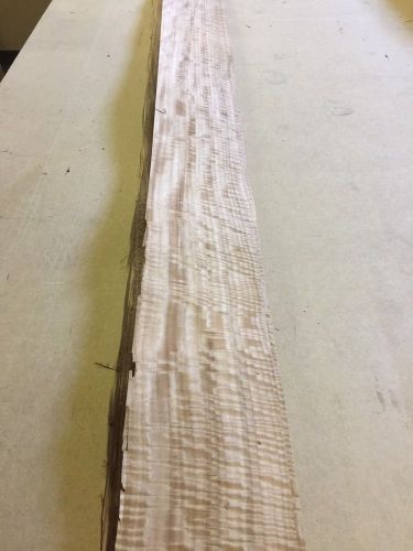 Wood Veneer Bees Wing 8x98 22 Pieces Total Raw Veneer &#034;EXOTIC &#034;BW.S1 2-11-15