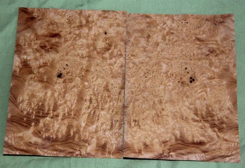 2 leafs of carpathian elm @ 5.5 x 4 wood veneer  #v1165 for sale