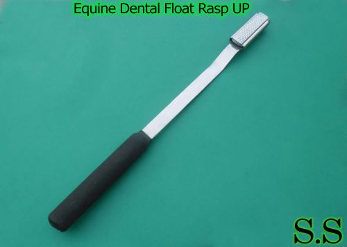 Equine Dental Float Rasp UP Flat Handle Veterinary Instruments