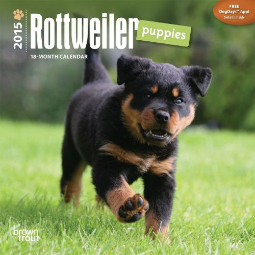 2015 ROTTWEILER Puppies Mini Wall 7x7 Calendar NEW &amp; SEALED