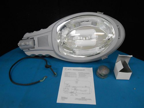 Neptun Light 82040 Cobra Head Street Parking Roadway Light Induction Luminaire