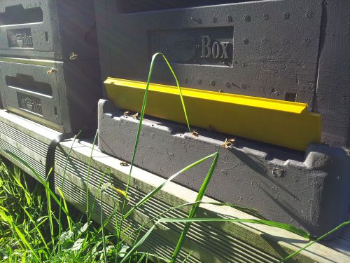 Starter Hive With One Brood Box, Bee Hive From Europe, Polystyrene Bee Hive