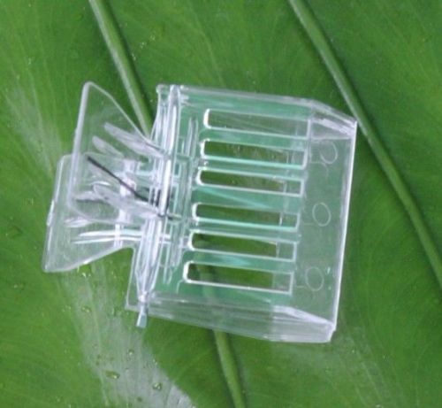 New 2Pcs Clip Queen Bee Catcher