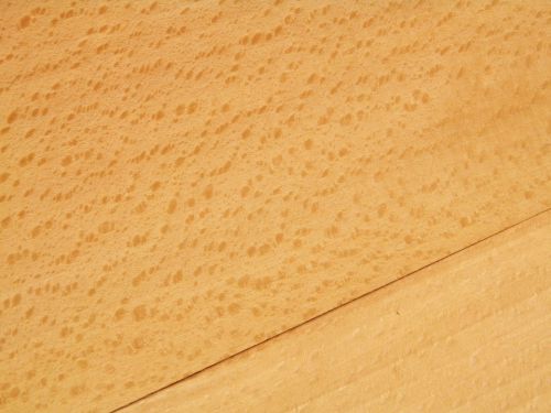 Flecky beech  wood veneer   5&#034; x 24&#034;                                     4493-40 for sale