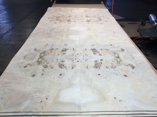 Wood veneer mappa burl 48x96 1pcs total 20mil paper backed  &#034;exotic&#034; box b21.6 for sale