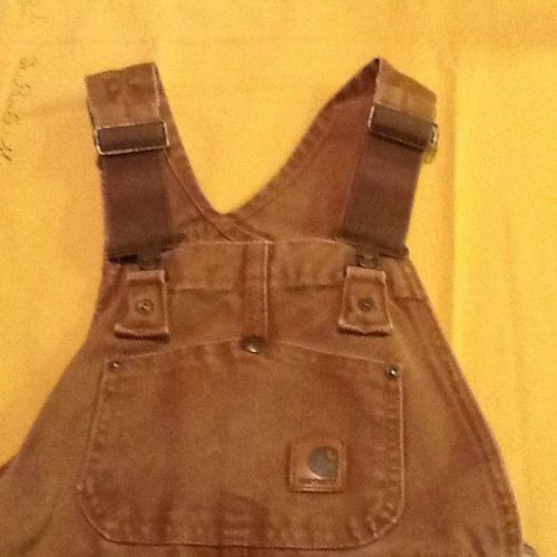 Carhartt Insulated Bib Overalls