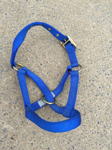 Brand New Calf Halter