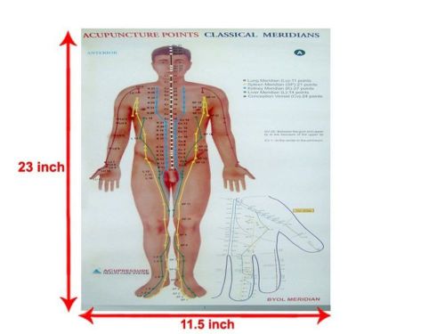 (Set Of 3) Acupuncture Points Chart Meridians  Educational Very Useful Chart