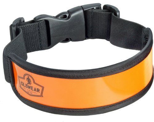 Ergodyne GloWear 8003 Arm/Leg Band