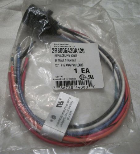 Brad Harrison 2R8006A20A120 or P/N 43005 8P Male Straight Connector