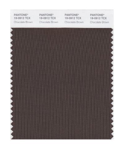 PANTONE SMART 19-0912X Color Swatch Card, Chocolate Brown