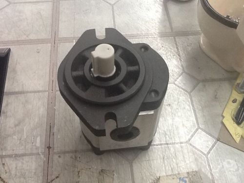 Dynamic Gear Pump .61 CU IN GP-F20-10-P-C