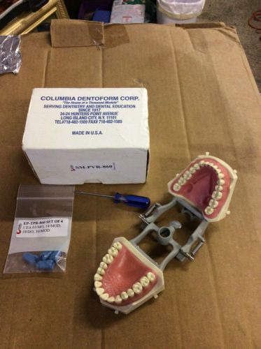 SM-PVR-860 Columbia Dentoform Corp. Articulated Soft Gingiva Dentoform