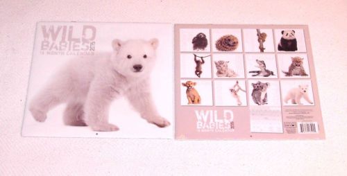 2015 SIXTEEN (16) MONTH CALENDAR:  WILD BABIES - FULL COLOR