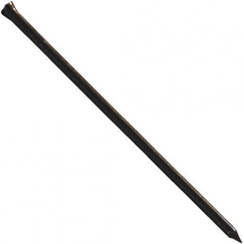 5LB 2-1/2&#034; TRIM NAIL HT250530