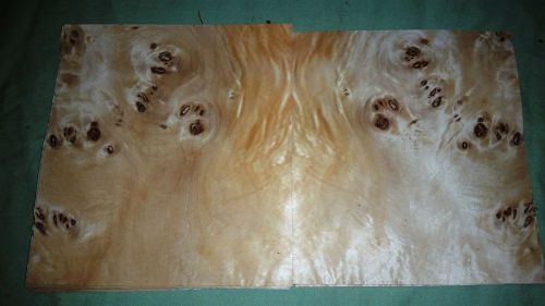 Mappa Burl leafs @ 6.75 x 6.25 wood veneer (v1656)