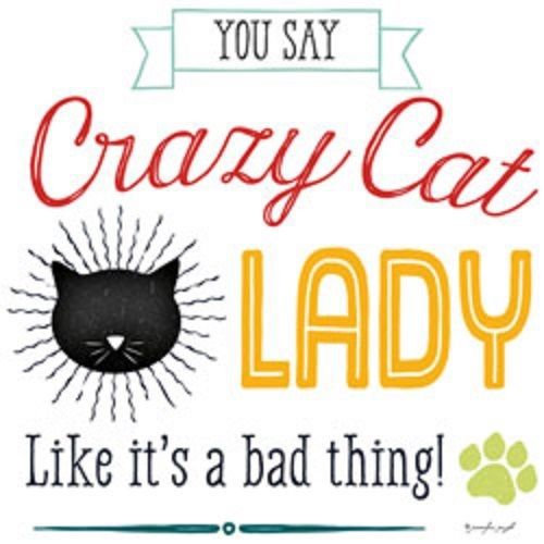 Crazy Cat Lady HEAT PRESS TRANSFER for T Shirt Sweatshirt Tote Bag  Fabric 272d