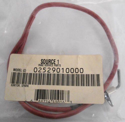 Source 1 025-29010-000 Flame Sensor