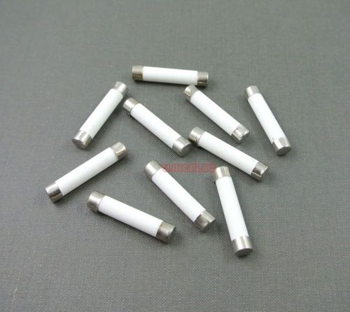 100pcs Ceramic Tube Fuse 5A 250V Fast Blow Type 6x30mm