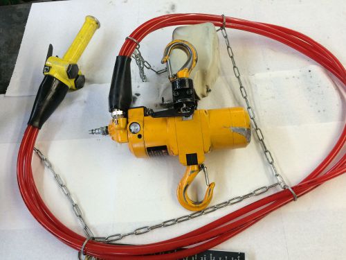 HARRINGTON AH250C-10 Air Chain Hoist,250 lb. Cap.,10 ft.