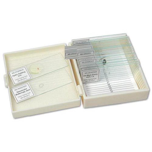 Apologia biology prepared slides - set of 16 prepared glass microscope slides for sale