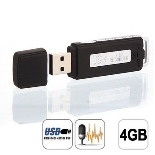 Hot spy usb pen drive discrete digital audio voice recorder 4gb build in memory for sale