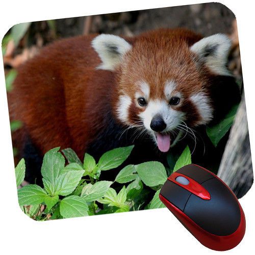 Cute Red Panda IV Rubber-Backed Non Slip Mouse pad