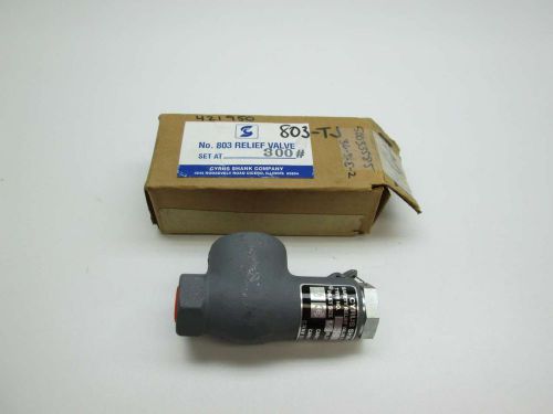 NEW CYRUS 803 300PSI 1/2 IN NPT STEEL THREADED RELIEF VALVE D390209