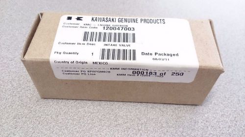 Genuine OEM INTAKE VALVE, KAWASAKI, 12004-7003, 120047003 - NOS