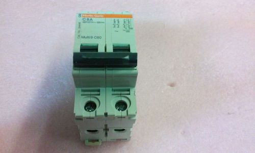 Merlin Gerin C8A Multi 9 C60 2 Pole Circuit Breaker 480 Y 277 V 125V 24448