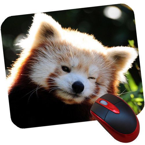 Cute Red Panda II Rubber-Backed Non Slip Mouse pad