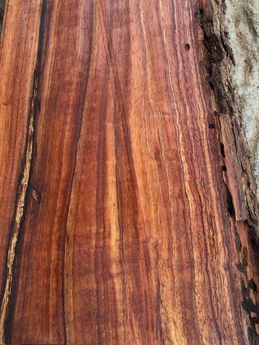 Curly Ambrosia Spalted Live Edge Hawaiian Koa Reclaimed Slabs 2@24&#034;x3-8x2&#034;