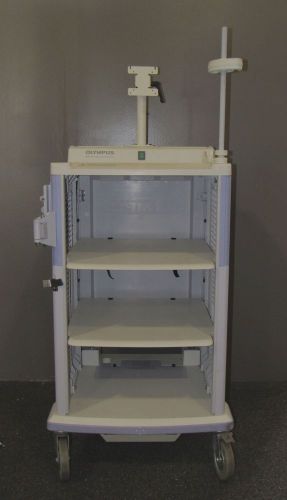 OLYMPUS ENDOSCOPY CART WORKSTATION WM-60