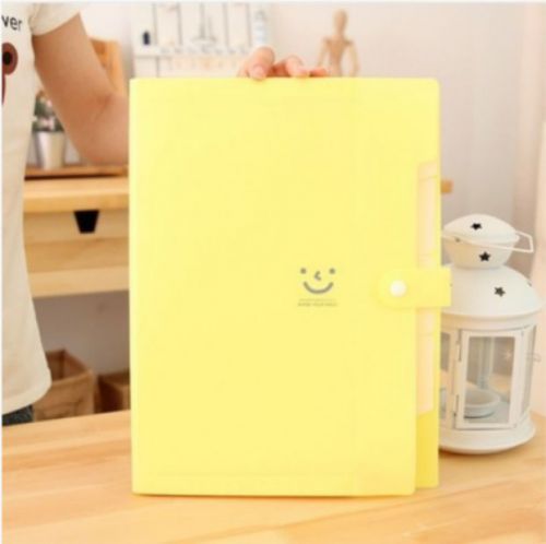 5-Index Expanding Folder - Yellow