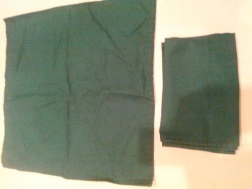 25 Jade Green Restaurant Dining Cloth Napkins