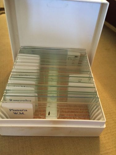 Apologia Biology Prepared Slides - Set of 16 Prepared Glass Microscope Slides