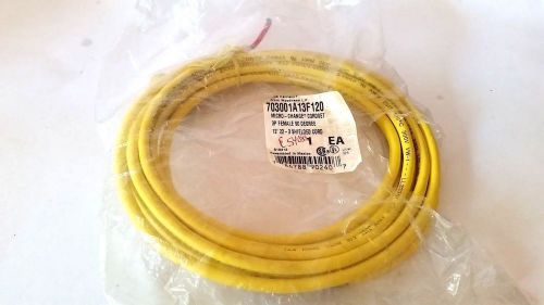 Brad Harrison 703000A13F120 Micro Change Cordset New