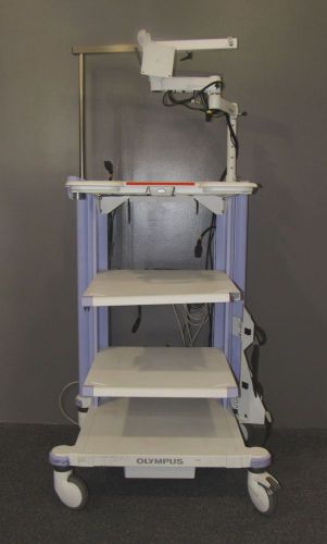 OLYMPUS ENDOSCOPY CART WORKSTATION WM-WP1