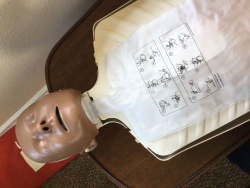 LITTLE ANNE CPR MANIKIN