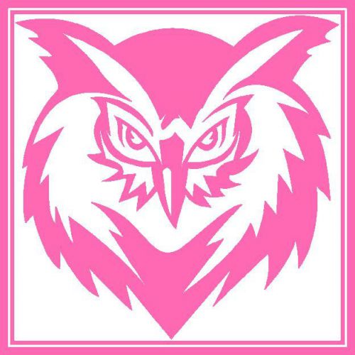 30 Custom Pink Wicked Owl Art Personalized Address Labels